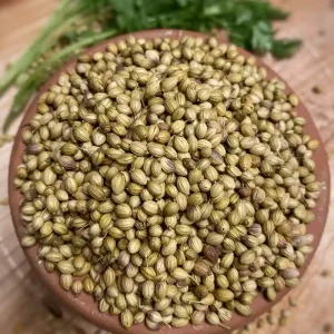Coriander