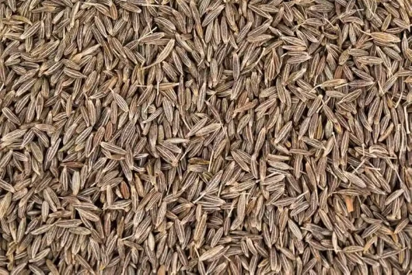 Jeera