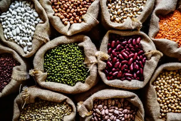 Other Pulses
