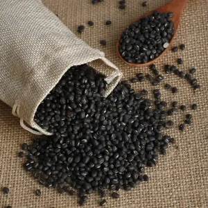 Urad