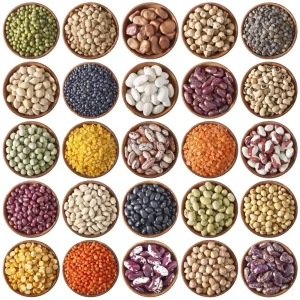 VARIOUS KINDS OF BEANS